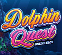 Dolphin Quest