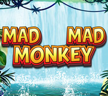 Money Mad Monkey