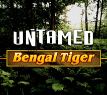 Untamed Bengal Tiger