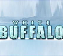 White Buffalo