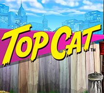 Top Cat