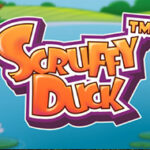 Scruffy Duck