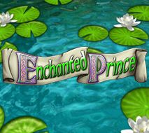 Enchanted Prince