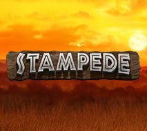 Stampede