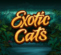 Exotic Cats