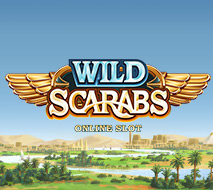 Wild Scarabs