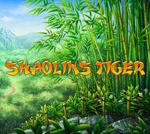 Shaolin’s Tiger