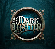 A dark matter