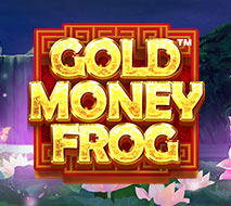 Gold Money Frog