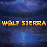Wolf Sierra