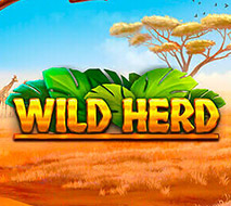 Wild Herd