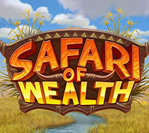 Safari of Wealth