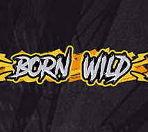 Born Wild