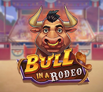 Bull in a Rodeo