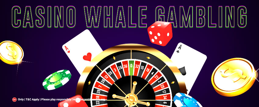 CASINO-WHALE-GAMBLING