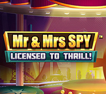 Mr & Mrs Spy