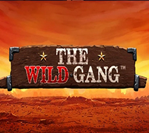 The Wild Gang