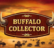 Buffalo Collector