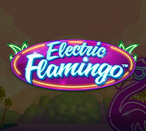 Electric Flamingo