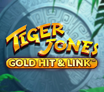 Gold Hit & Link Tiger Jones