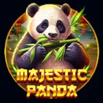 Majestic Panda